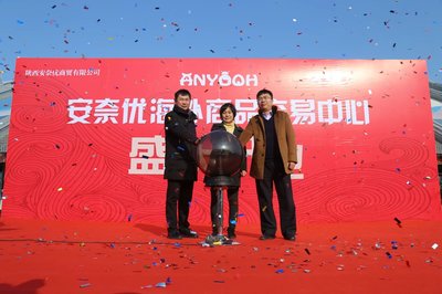 無需漂洋過海代購，西咸空港安奈優讓你一切無憂——陜西貨物進出口的新篇章