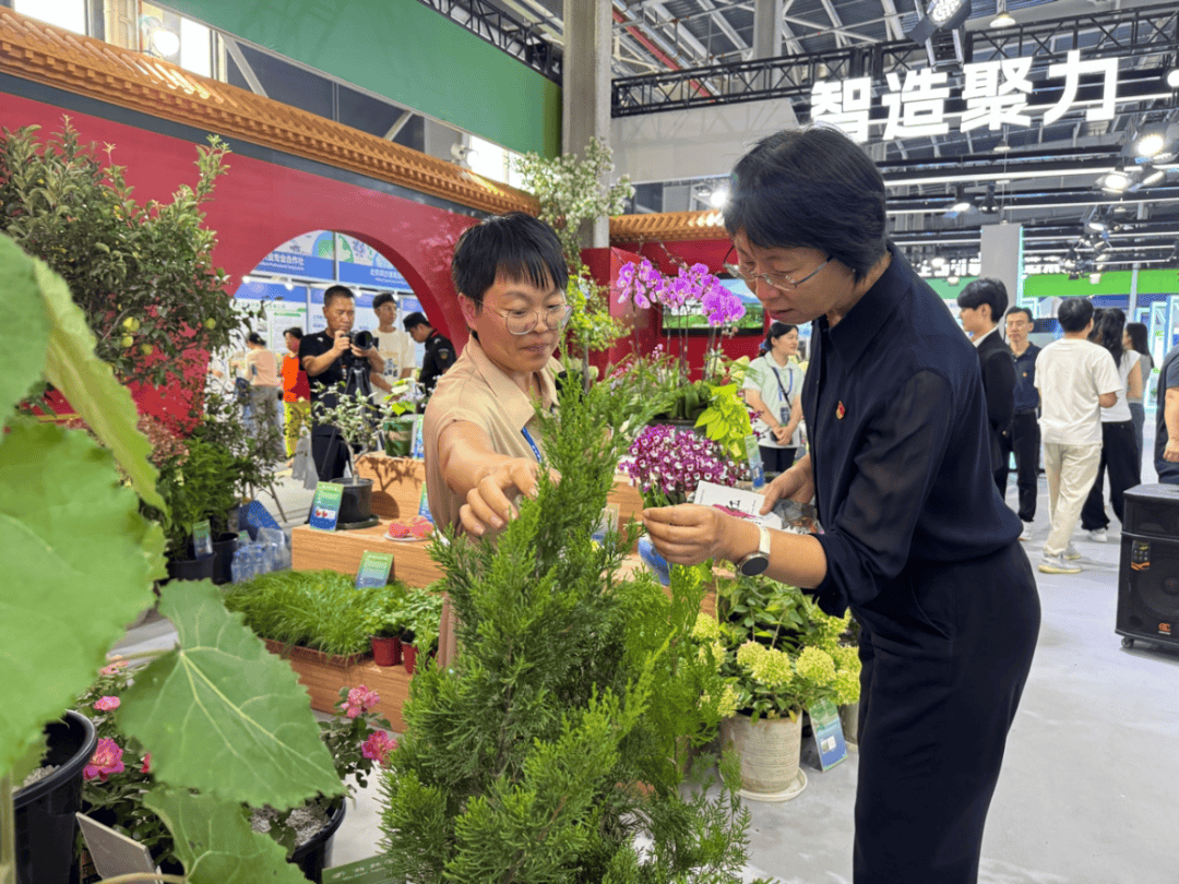 北京市統(tǒng)計(jì)局局長(zhǎng)李素芳赴通州調(diào)研種業(yè)與現(xiàn)代農(nóng)業(yè)發(fā)展，強(qiáng)調(diào)科技賦能與數(shù)據(jù)支撐